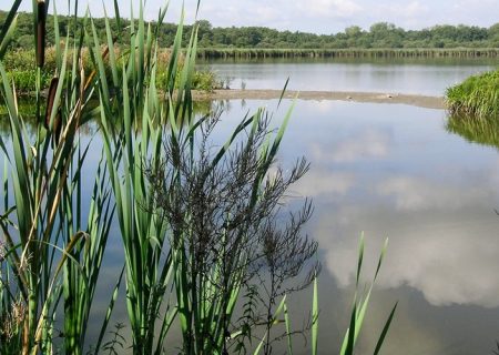 Etang de Virelles Lompret