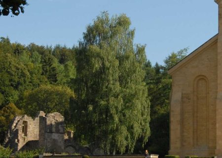 Abbaye d'Orval
