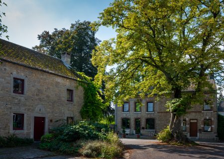 Vieux Tilleul de My