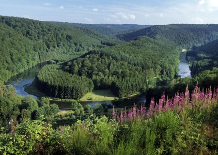 Le Tombeau du Géant - Vallée de la Semois