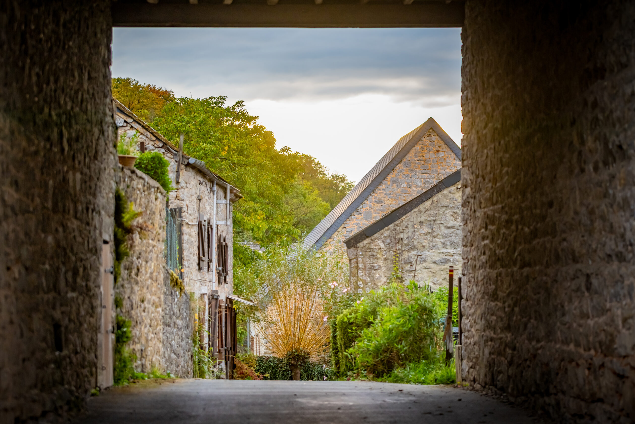 FAGNOLLE_automne_Nº de séquence (01)_Rita_Photographie-3