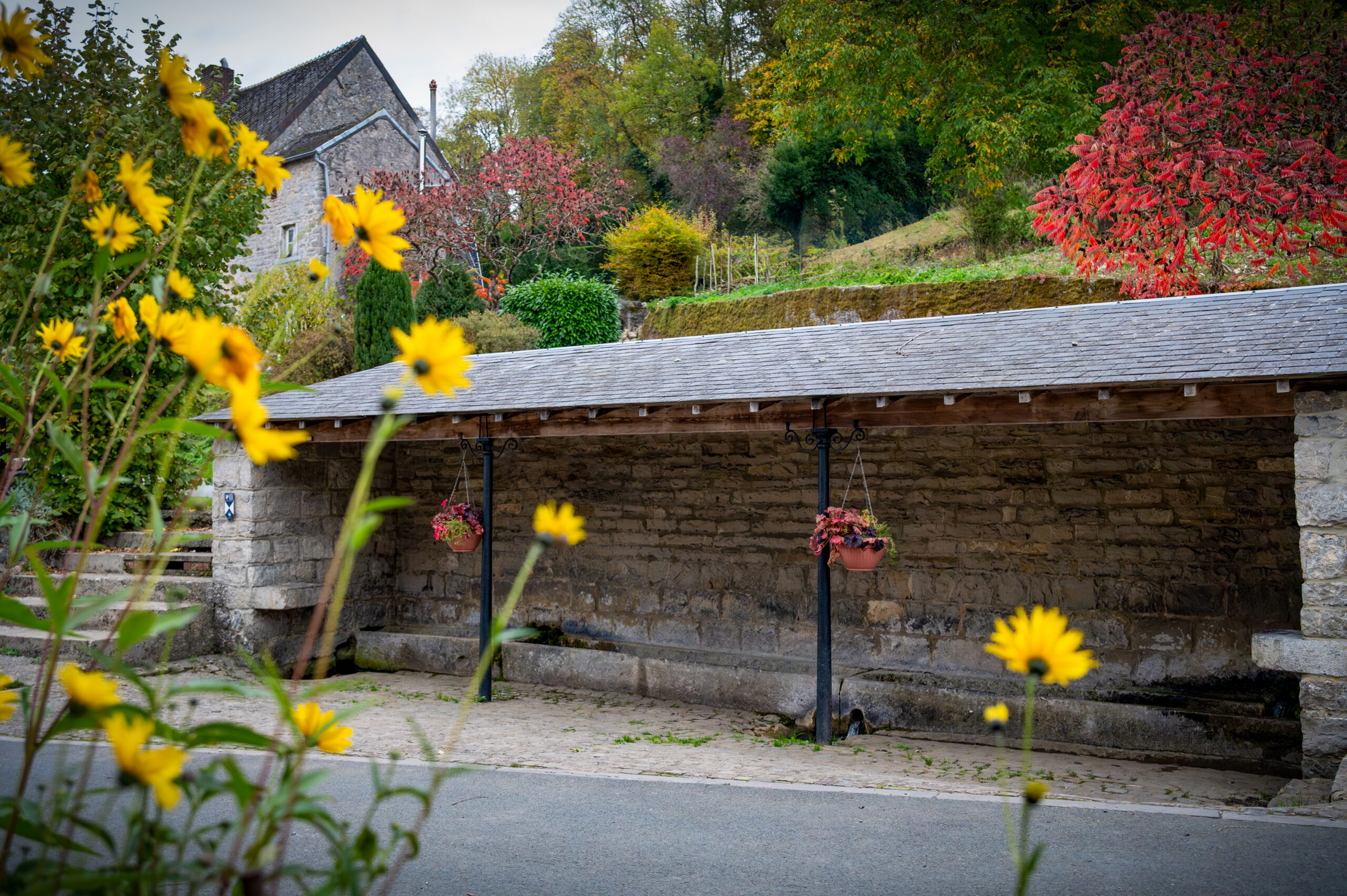 FAGNOLLE_automne_Nº de séquence (01)_Rita_Photographie-4