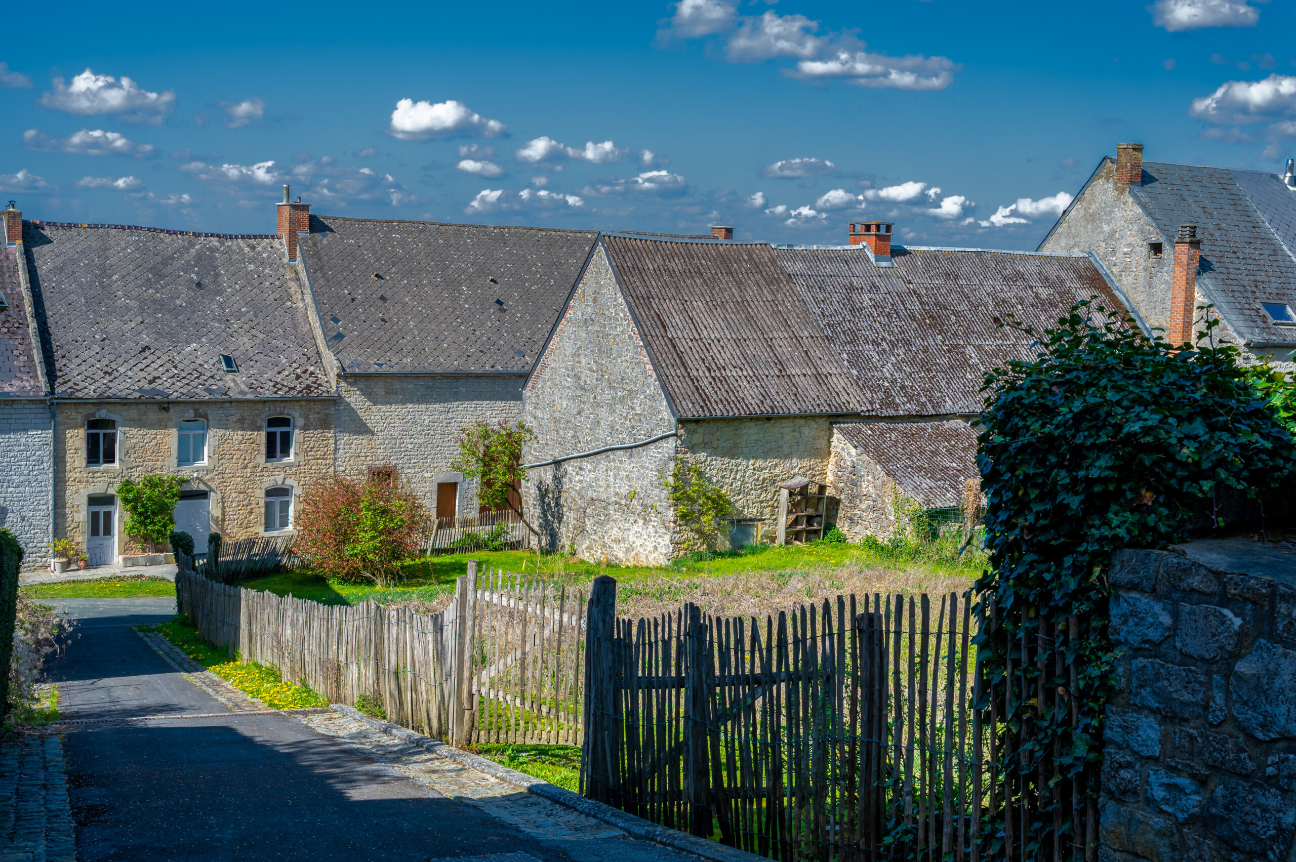 FAGNOLLE_printemps_Nº de séquence (01)_Rita_Photographie-13