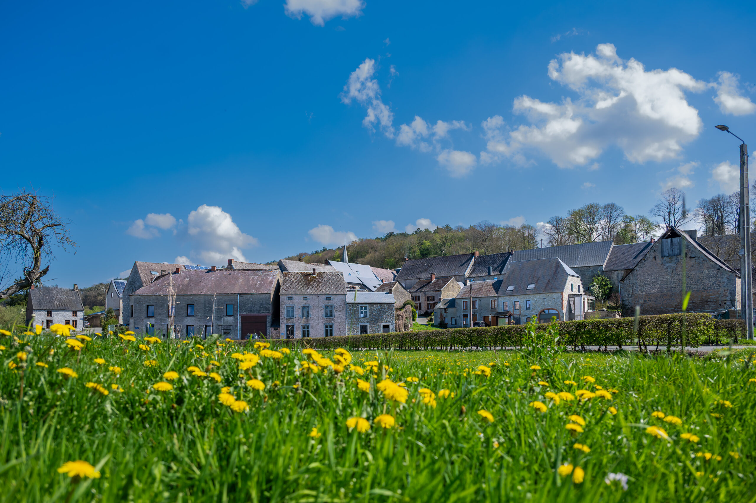 FAGNOLLE_printemps_Nº de séquence (01)_Rita_Photographie-3