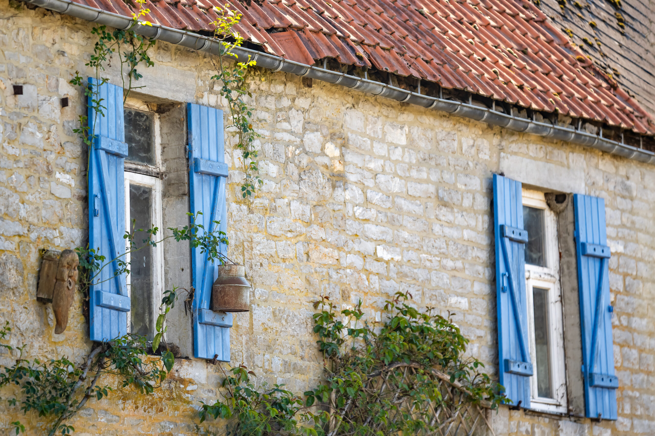 FAGNOLLE_printemps_Nº de séquence (01)_Rita_Photographie-5