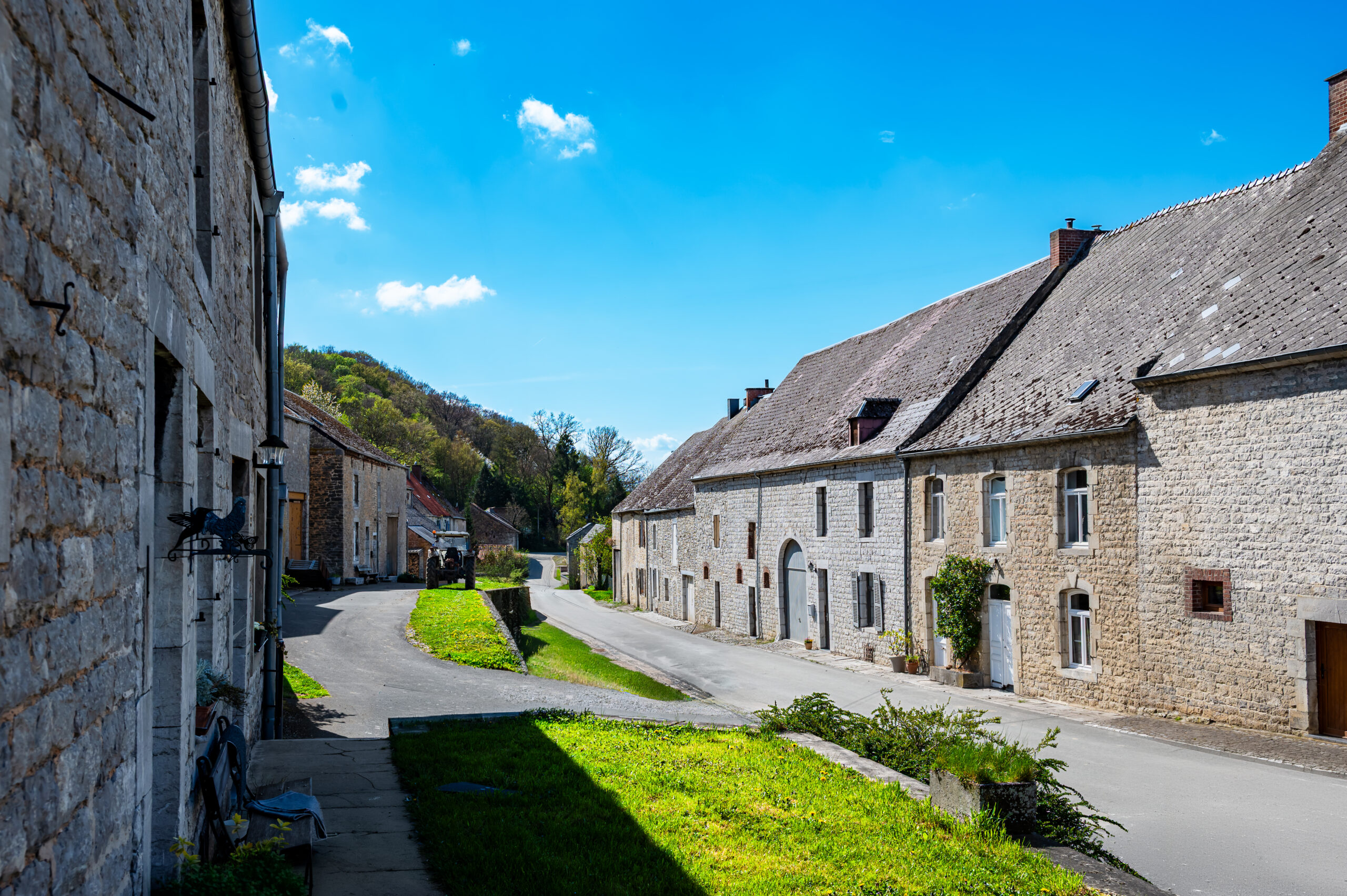 FAGNOLLE_printemps_Nº de séquence (01)_Rita_Photographie-8
