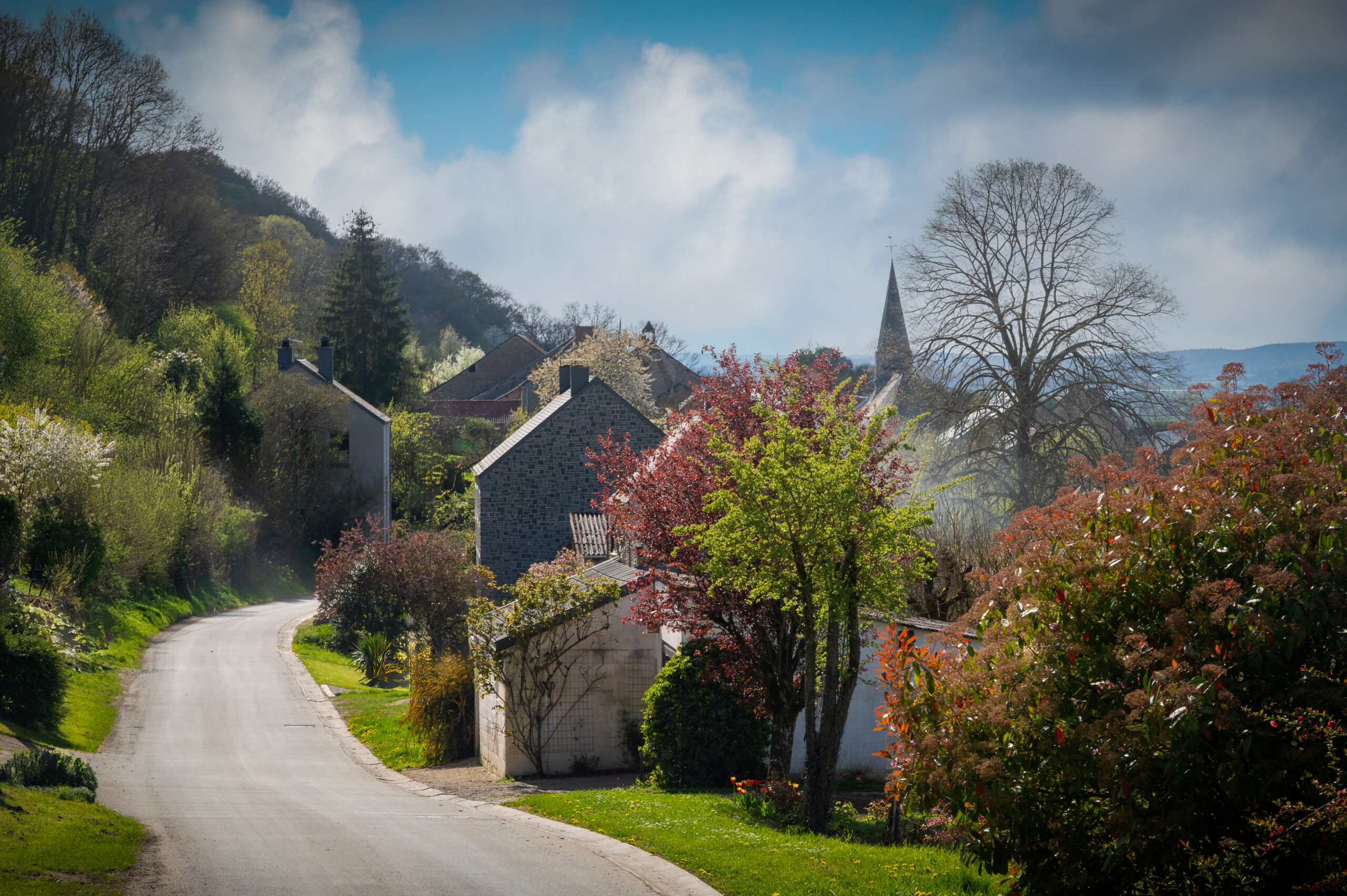 FAGNOLLE_printemps_Nº de séquence (01)_Rita_Photographie